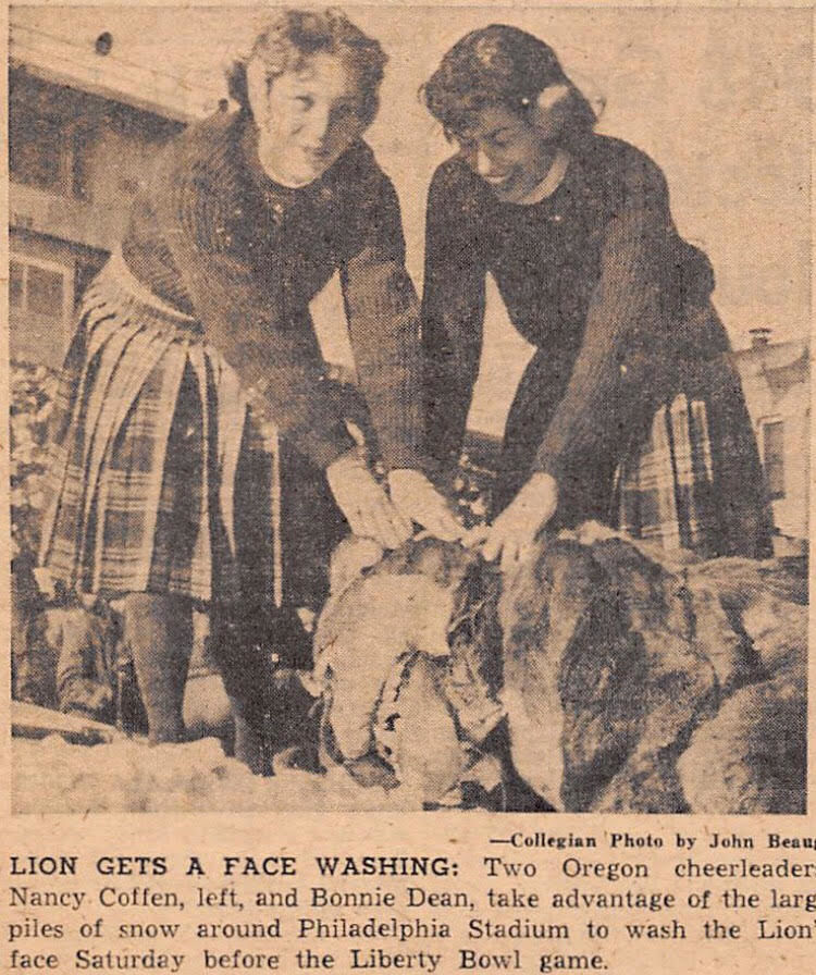 lion gets a face washing